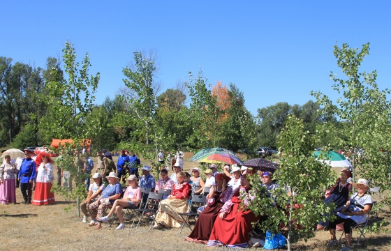 В Борском районе состоялся фестиваль традиционной казачьей культуры «Борская крепость»