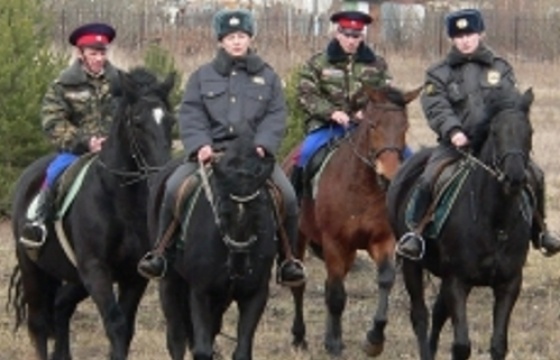 В Администрации Калужской области состоялся «круглый стол», посвящённый участию казаков в охране общественного порядка